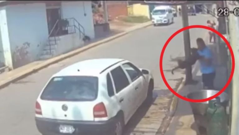 Perro asesinado en un cazo con aceite 