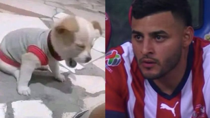 No perdonan: Las Chivas se vuelven blanco de MEMES tras perder la final 'en casa' ante Tigres