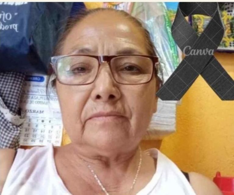 AMLO lamenta asesinato de madre buscadora de Guanajuato. Foto: Twitter
