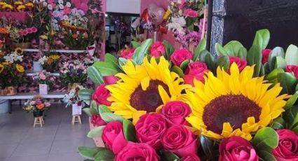 ¿Una flor para mamá? Florerías del Estado de México esperan ventas millonarias para este 10 de mayo
