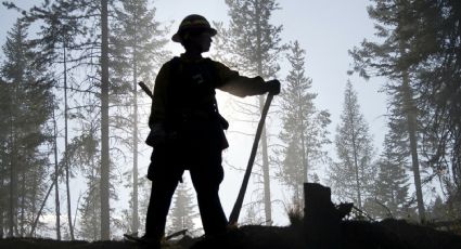 El Estado de México en llamas: 875 incendios forestales han consumido sus bosques durante 2023