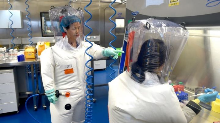 Informe confirmaría que científicos de Wuhan habrían trabajado en coronavirus previo a la pandemia