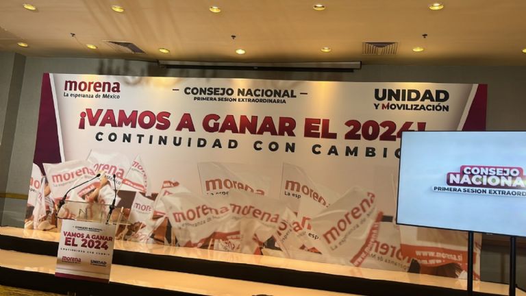 Morena, Consejo Nacional