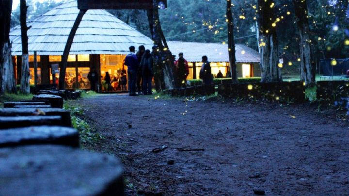 Tlaxcala sí existe y brilla: Autoridades invitan a la temporada de avistamiento de luciérnagas 2023