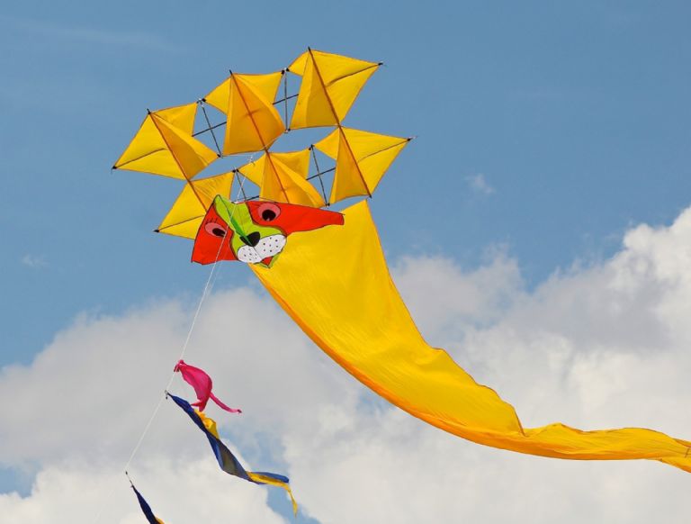 Festival del Papalote