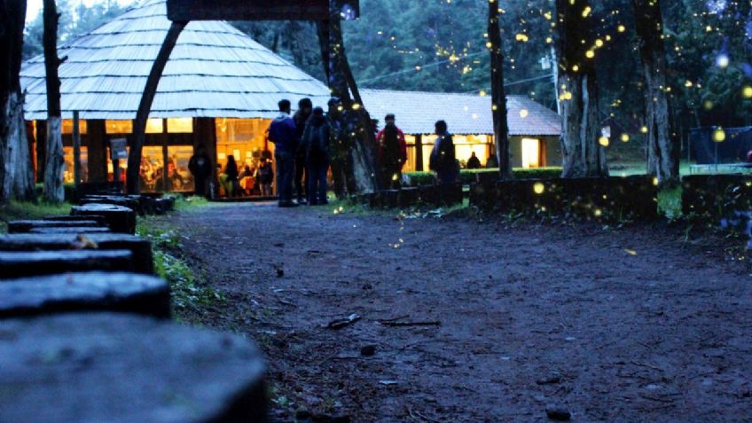 Tlaxcala sí existe y brilla: Autoridades invitan a la temporada de avistamiento de luciérnagas 2023