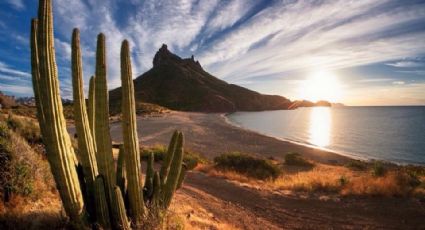 Clima en Sonora hoy: ¡Precaución! Conagua alerta por temperaturas de hasta 40°C y tolvaneras