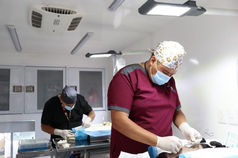 Vacunación de mascotas en CDMX