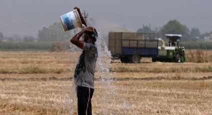 Ola de calor en el mundo causa decenas de decesos; India reporta 98 muertes en los últimos 3 días