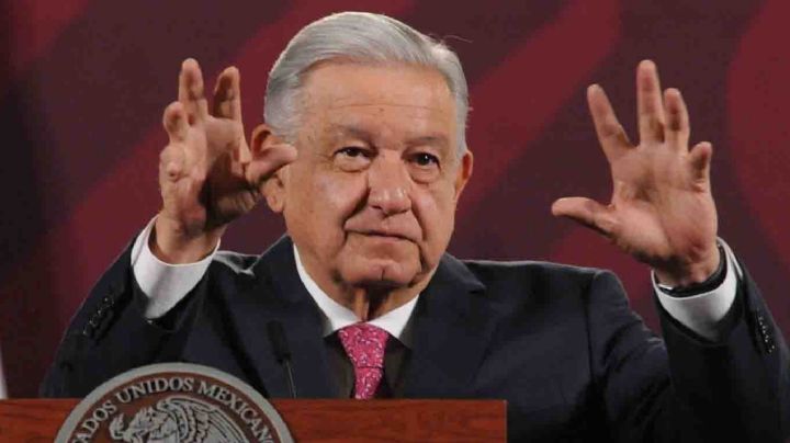 Protección para animales y pensiones a adultos mayores, las iniciativas de AMLO para el Congreso