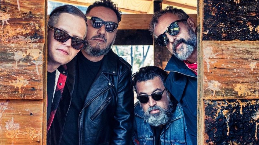 (VIDEO) "Es un irresponsable": Exhiben a miembro de Molotov por ser un mal adoptante de mascotas