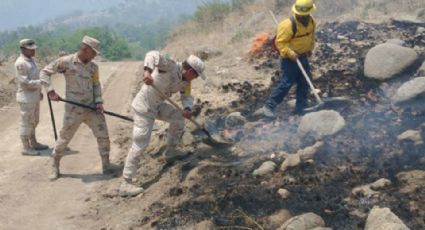 VIDEO: Voraz incendio consume sierra de Nacozari; autoridades trabajan para sofocar el fuego