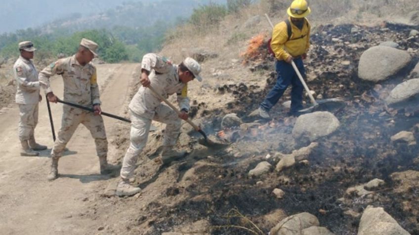 VIDEO: Voraz incendio consume sierra de Nacozari; autoridades trabajan para sofocar el fuego