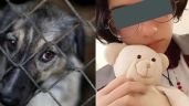 Justicia para 'Huellitas': Esta sería la condena de Vanesa 'N' tras torturar a un cachorro en Puebla