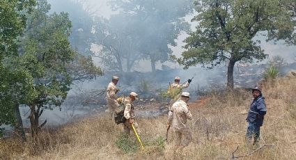 Incendios devastan miles de hectáreas en la sierra de Bacoachi y Nacozari; reportan control de 70%