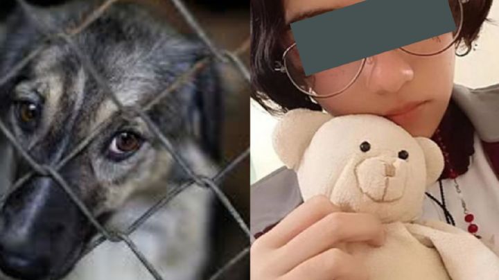 Justicia para 'Huellitas': Esta sería la condena de Vanesa 'N' tras torturar a un cachorro en Puebla