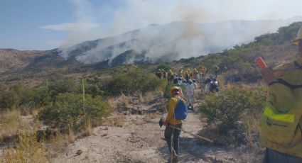 Incendio en  Ímuris el más grande de Sonora en los últimos 70 años: Protección Civil Sonora