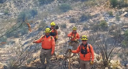 Incendio forestal en Ímuris alcanza 95% de control tras casi dos semanas: Protección Civil Sonora