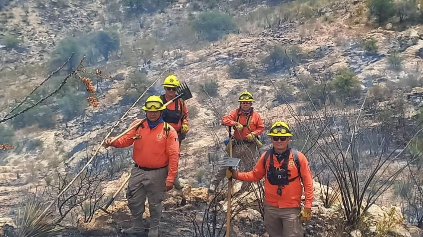 Incendio forestal en Ímuris alcanza 95% de control tras casi dos semanas: Protección Civil Sonora