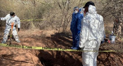 Guerreras Buscadoras hallan 2 cuerpos enterrados en fosa clandestina en la comunidad yaqui de Vícam