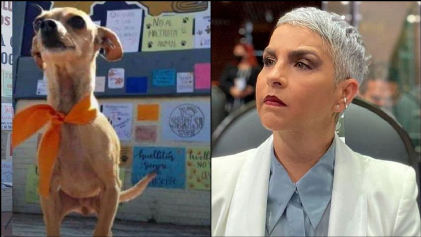 Federica Quijano alza la voz por 'Huellitas'; exige castigo para Vanessa N: "Tiene que ir a un reformatorio"