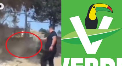PVEM da la espalda al excandidato de Tetlatlahuca tras FUERTE VIDEO donde mata a balazos a un perro