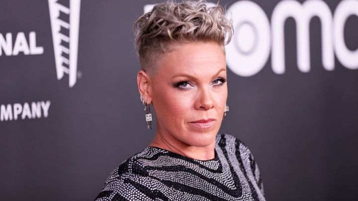 Pink recibe macabro regalo en pleno concierto; eran las cenizas de la madre de uno de sus fans