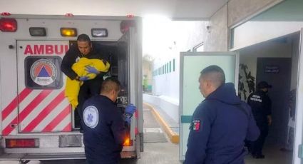 VIDEO: Bebé encontrado en Ecatepec pierde la vida pese a ser llevado de urgencia a un hospital