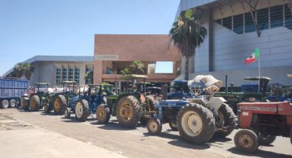 Vence plazo de la tregua otorgada por los productores agrícolas al Gobierno en el municipio de Cajeme