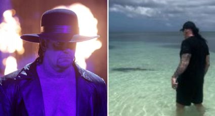 VIDEO: Undertaker 'intimida' a tiburón y 'salva' a su esposa Michelle McCool durante sus vacaciones