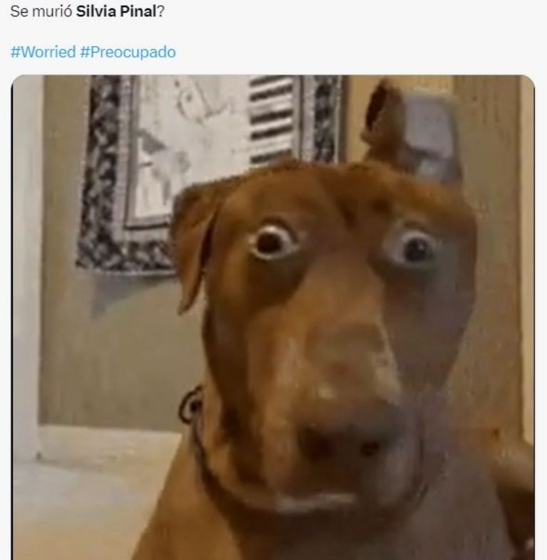 meme de Silvia Pinal