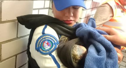 Milagro: Adolescente de 17 años da a luz a su bebé en la estación Acatitla de la Línea A del Metro