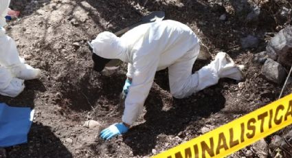 Tamaulipas: Colectivo de búsqueda de desaparecidos halla 11 fosas clandestinas con más de 20 cadáveres