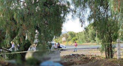 Tragedia en Teotihuacán: Pareja muere en un fatídico accidente; su auto quedó colgado de un árbol