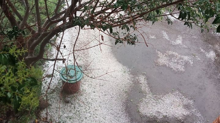 (VIDEO) Fuerte granizada sorprende a la Ciudad de México; provoca afectaciones en Azcapotzalco