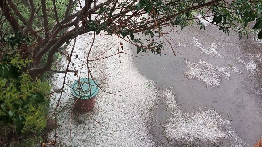 (VIDEO) Fuerte granizada sorprende a la Ciudad de México; provoca afectaciones en Azcapotzalco