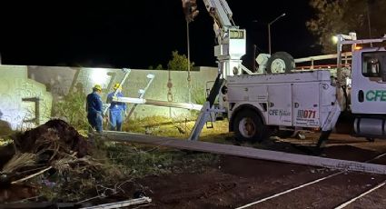 Tormenta de arena afectó a más de 55 mil usuarios, dice CFE: Suministro eléctrico, reestablecido al 53%