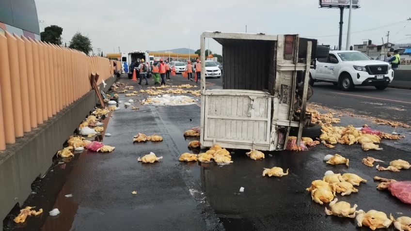 Adiós a las pechugas empanizadas: Se registra volcadura de camioneta con pollo en la México-Puebla