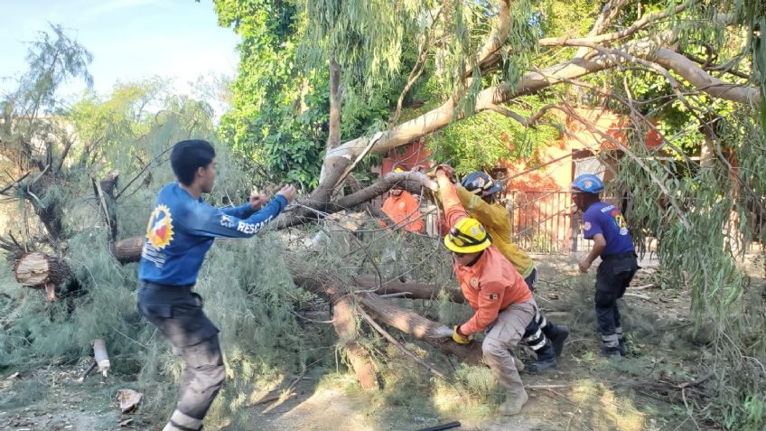 Tras tormenta de arena, energía regresa al 87%; Conagua dice que es un fenómeno nunca antes visto