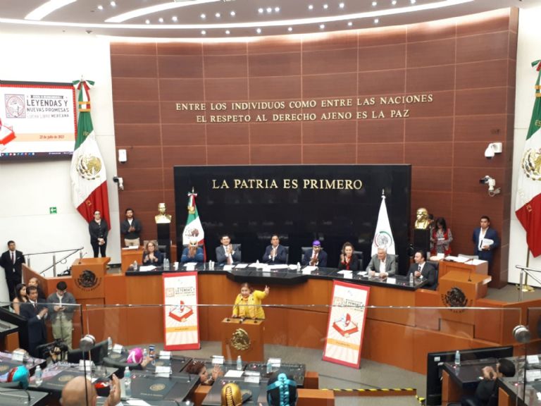 Lucha libre en el Senado de la República
