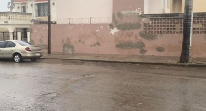 Se registra primera lluvia de temporada en Ciudad Obregón; hay apagones intermitentes y cayó un árbol