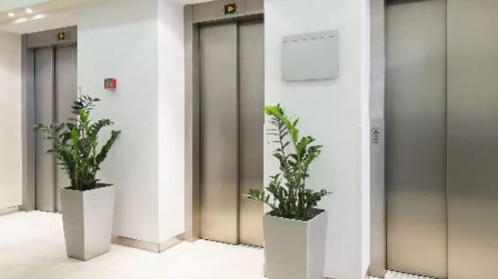 Olga es hallada sin vida tras pasar 3 días atrapada en un ascensor; nadie la escuchó gritar