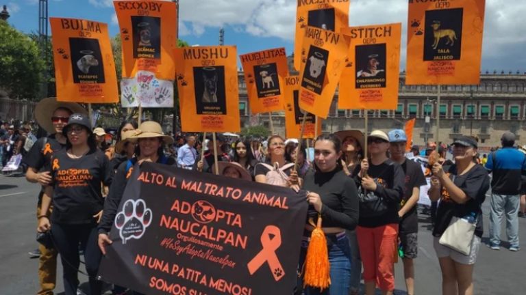 AMLO, a favor de un Día contra el Maltrato Animal. Foto: Internet