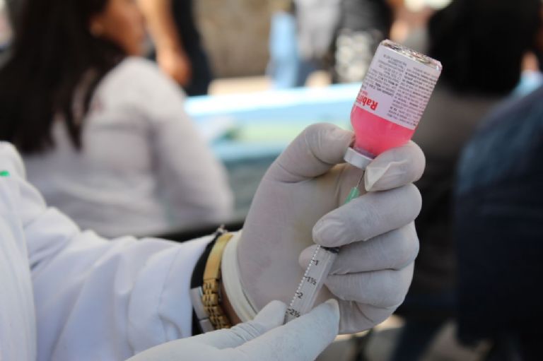 Vacunación de mascotas en Edomex