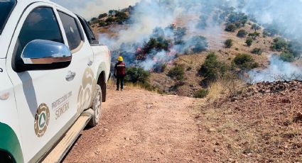 Protección Civil reporta control total en incendio forestal de Nogales y atienden otro en Divisaderos