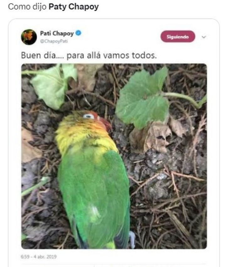 Paty Chapoy se vuelve tendencia y se desatan los memes