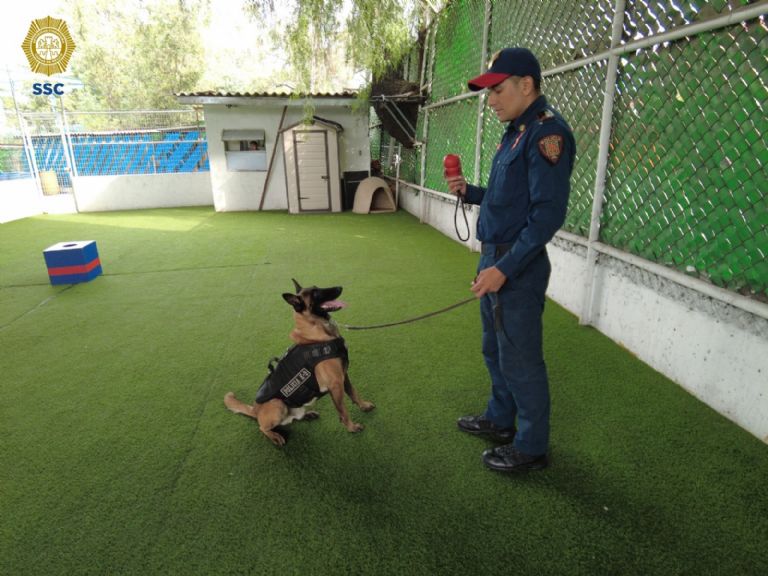 Nuevos binomios caninos