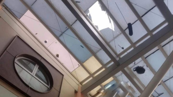 Fuertes imágenes: Trabajador muere tras caer de edificio en Facultad de la UNAM; FGJ-CDMX indaga