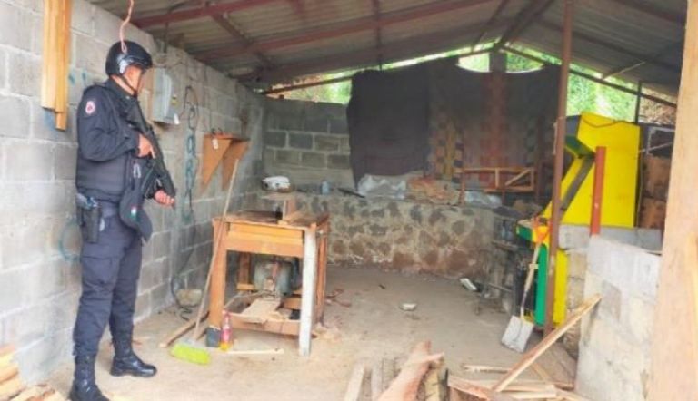 Tala clandestina en CDMX