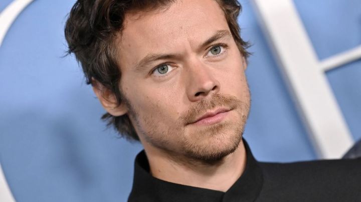 Harry Styles obtiene justicia: Arrestan y condenan a prisión a la acosadora del cantante